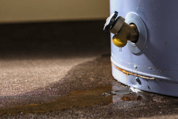 Best Local water damage restoration  in Quitman, TX