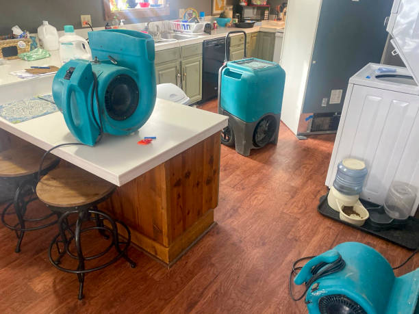 Best Water damage restoration company  in Quitman, TX
