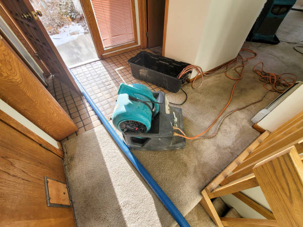 Best Water damage mitigation services  in Quitman, TX